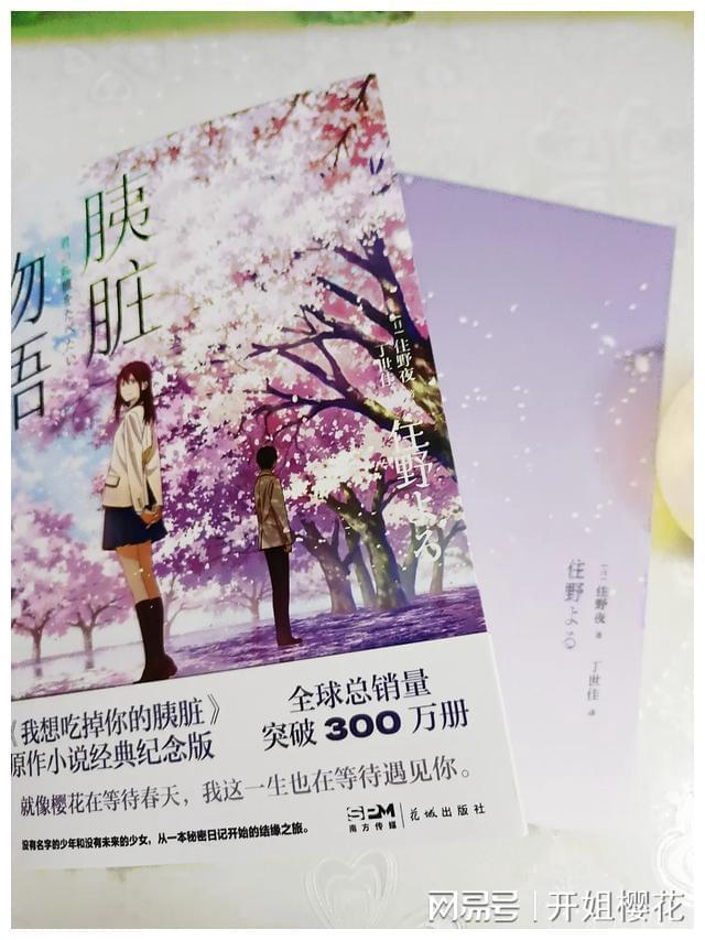 暴走小飞机